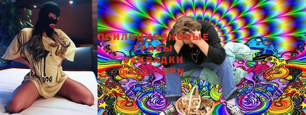 ешки Алексин