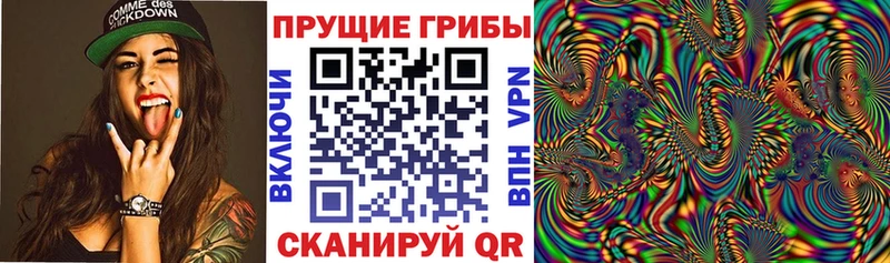 Псилоцибиновые грибы Magic Shrooms  ОМГ ОМГ как зайти  Волгоград 